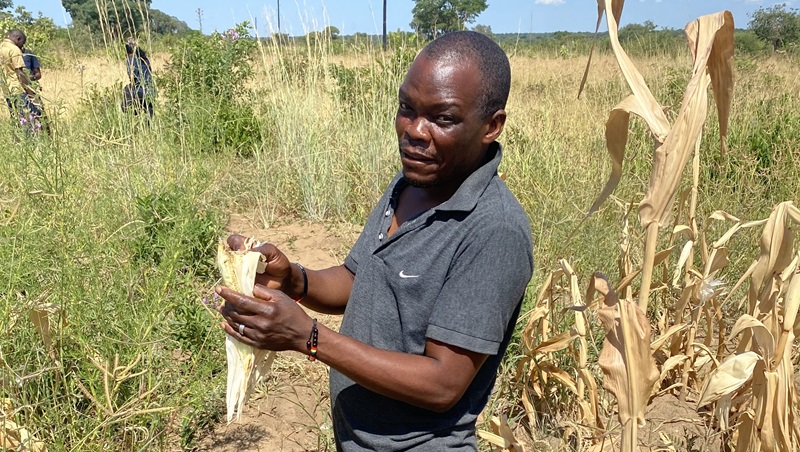 Is water provision in drought-hit Zambia climate 'loss and damage' or adaptation?