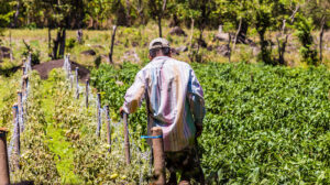 green climate fund nicaragua human rights