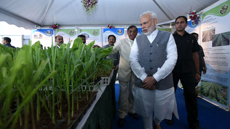 Sugar rush: how farmers spurred India's G20 biofuels alliance